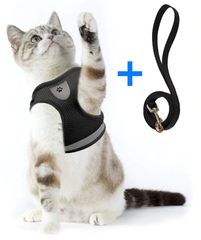 AdventureKit - Secure Harness for Adventurous Cats