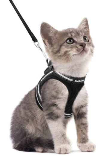 AdventureKit - Secure Harness for Adventurous Cats
