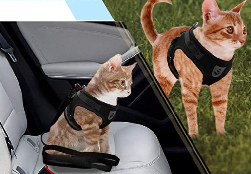 AdventureKit - Secure Harness for Adventurous Cats