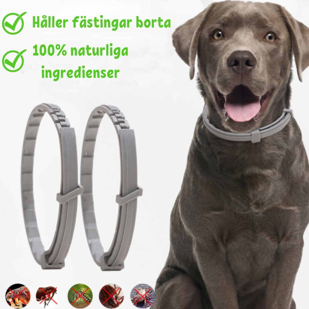 FleaShield Collar - Protection Puces et Tiques Animaux