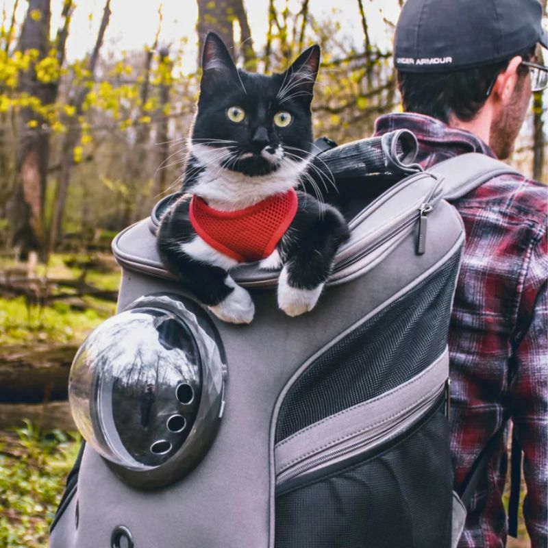 CatTrekker - Cat Carrier Bag with Panoramic Window
