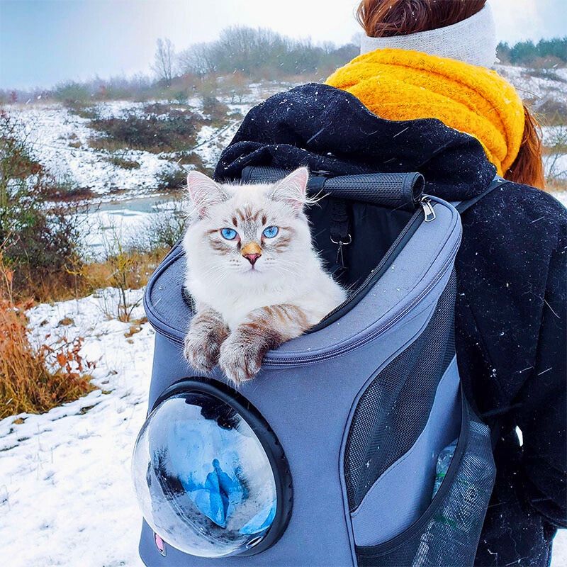 CatTrekker - Cat Carrier Bag with Panoramic Window