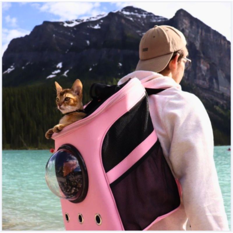 CatTrekker - Cat Carrier Bag with Panoramic Window