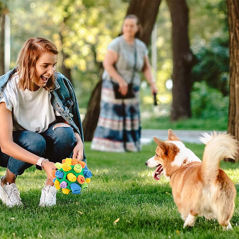 SnuffleFun - Interactive Snuffle Mat for Pets