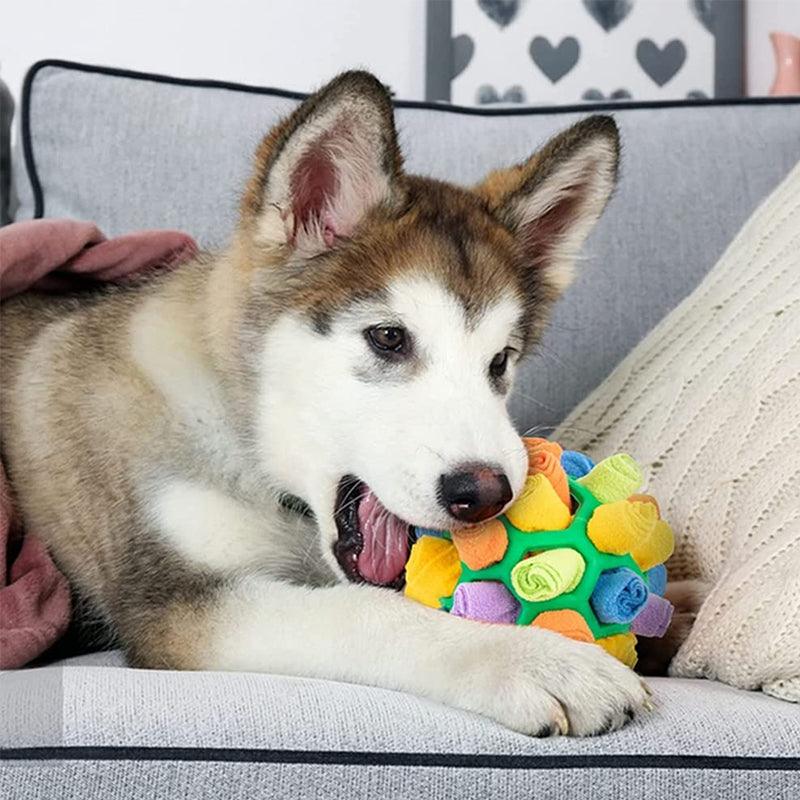 SnuffleFun - Interactive Snuffle Mat for Pets